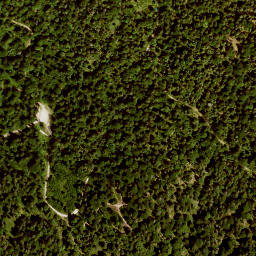 Satellite imagery of Schafkopf, DE