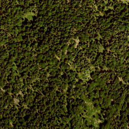 Satellite imagery of Schafkopf, DE
