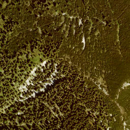 Satellite imagery of Kotzen, DE