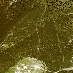 Satellite imagery of Kotzen, DE