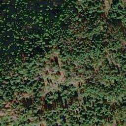 Satellite imagery of Iron Daisy Mine, US