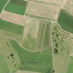 Satellite imagery of 1932, CH