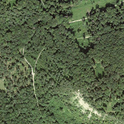 Satellite imagery of Bürersteig, CH