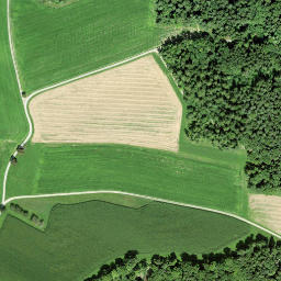 Satellite imagery of Schloss Sonnenberg, CH