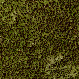 Satellite imagery of Unterrauheck, DE