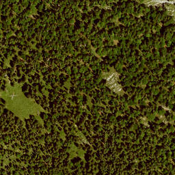 Satellite imagery of Unterrauheck, DE