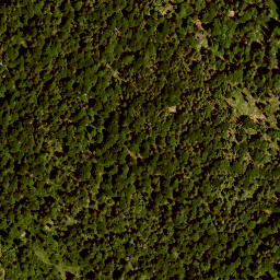 Satellite imagery of Schafkopf, DE