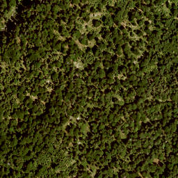 Satellite imagery of Krepelschrofen, DE