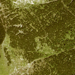 Satellite imagery of Kotzen, DE
