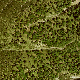 Satellite imagery of Kotzen, DE