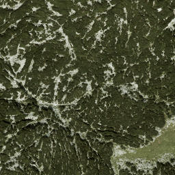 Satellite imagery of Langtal Kogel, AT