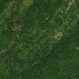 Satellite imagery of Nut Tree, CA