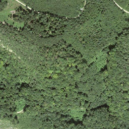 Satellite imagery of Geissberg, CH