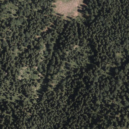 Satellite imagery of Mittelberg, AT