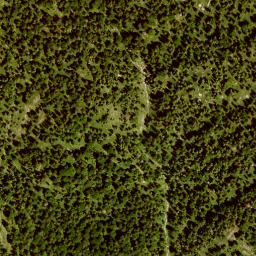 Satellite imagery of Unterrauheck, DE