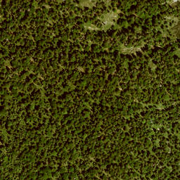 Satellite imagery of Unterrauheck, DE