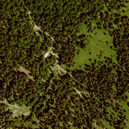 Satellite imagery of Moosenkopf, DE