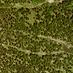 Satellite imagery of Kotzen, DE