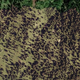 Satellite imagery of Plickenkopf, AT