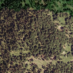 Satellite imagery of Plickenkopf, AT