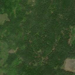 Satellite imagery of Normans Cove Tolt, CA