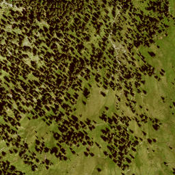 Satellite imagery of Moosberg, DE