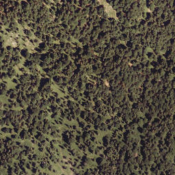 Satellite imagery of Plickenkopf, AT