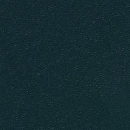 Satellite imagery of Brace Point, US
