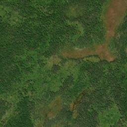 Satellite imagery of Tom Alfreds Hill, CA