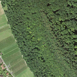 Satellite imagery of Oberegg, CH