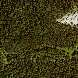 Satellite imagery of Moosenkopf, DE