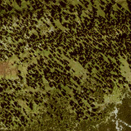 Satellite imagery of Oberlichteck, DE