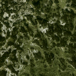 Satellite imagery of Fritzer Kogel, AT