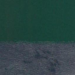 Satellite imagery of Point Vashon, US