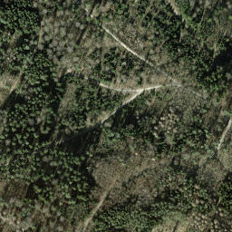 Satellite imagery of Lindberg, CH