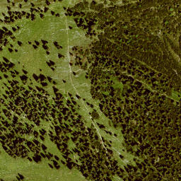 Satellite imagery of Moosberg, DE