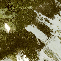 Satellite imagery of Oberlichteck, DE