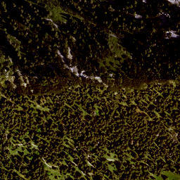 Satellite imagery of Hirschbühel, DE