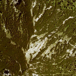 Satellite imagery of Ochsenstaffel, DE