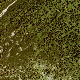 Satellite imagery of Ochsenstaffel, DE