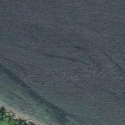Satellite imagery of Dolphin Point, US