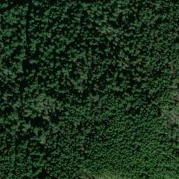 Satellite imagery of TIGER BEACON — NGS SX1486 — King County, US, US