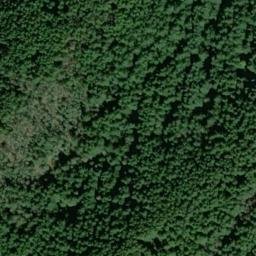 Satellite imagery of TIGER BEACON — NGS SX1486 — King County, US, US