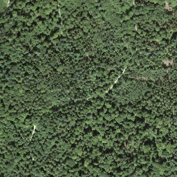 Satellite imagery of boundary_stone, CH