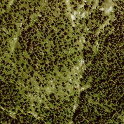 Satellite imagery of Rotenkopf, DE