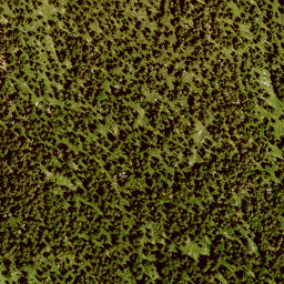 Satellite imagery of Rotenkopf, DE