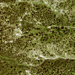 Satellite imagery of Ochsenstaffel, DE