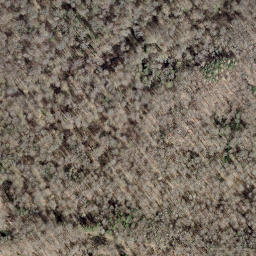Satellite imagery of boundary_stone, CH