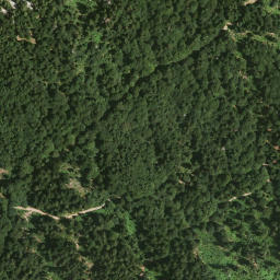 Satellite imagery of Gross Pölven, AT