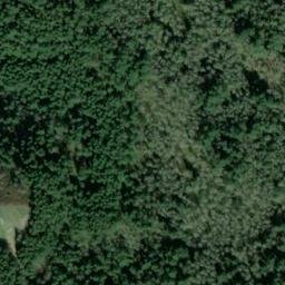 Satellite imagery of SNAG ON KNOLL W OF STA TIGER — NGS SX1404 — King County, US, US